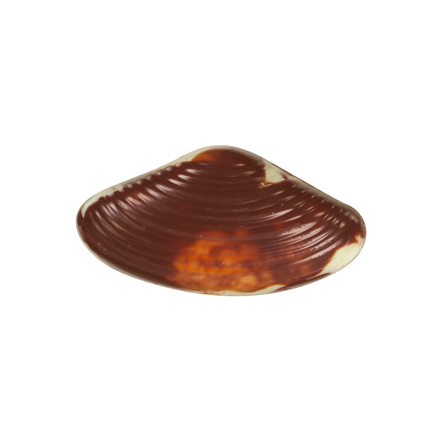 Seashells - Praline filled marbled seashells 12.5g - 14 trays - 3.5kg